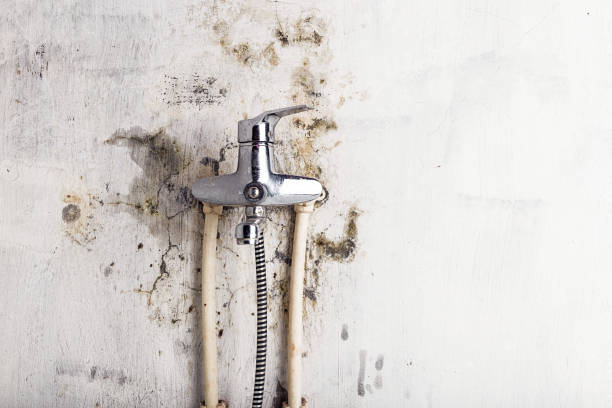 Best Water Damage Restoration  in Grover Beach, CA