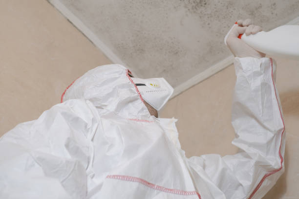 Best Attic Mold Removal  in Grover Beach, CA